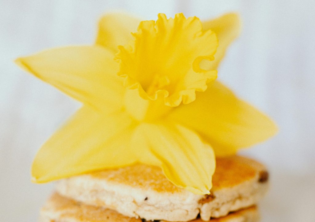 StDavidsDayMenus