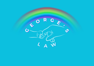 georges-law-1024x724