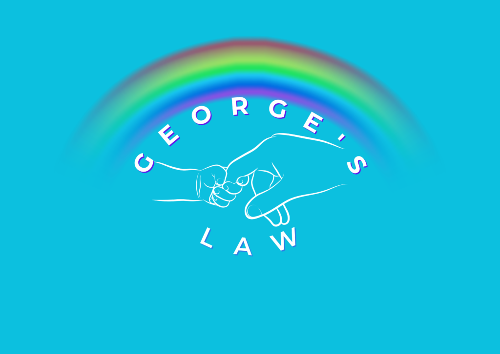 georges-law-1024x724