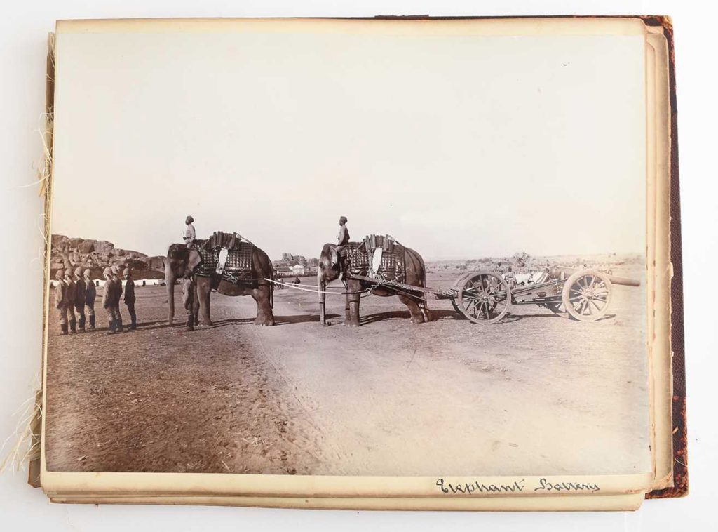 Elephant battery India