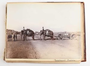 Elephant battery India