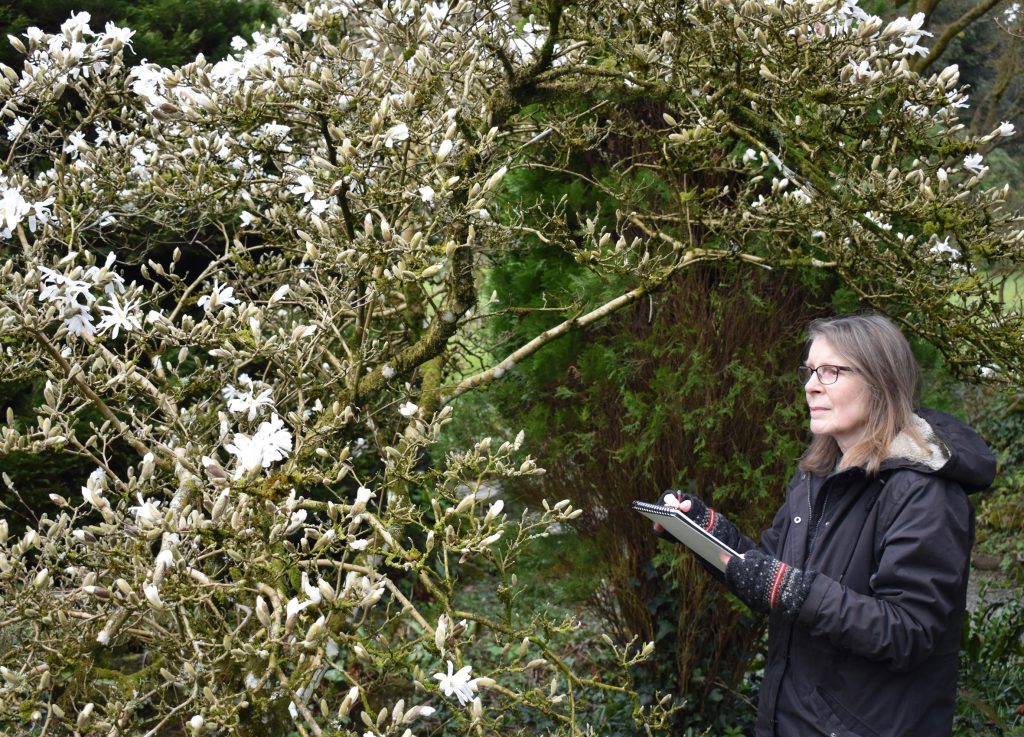 Hergest Croft Gardens - Chris Williams 1