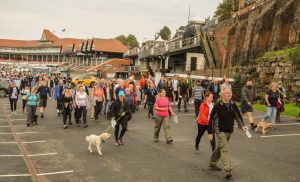 Chester Business Club Charity Walk 2023-14