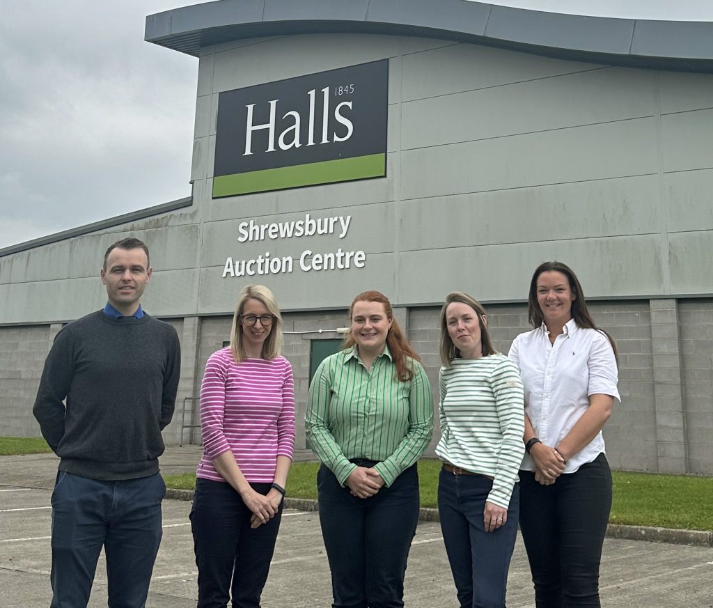 Hub team 1