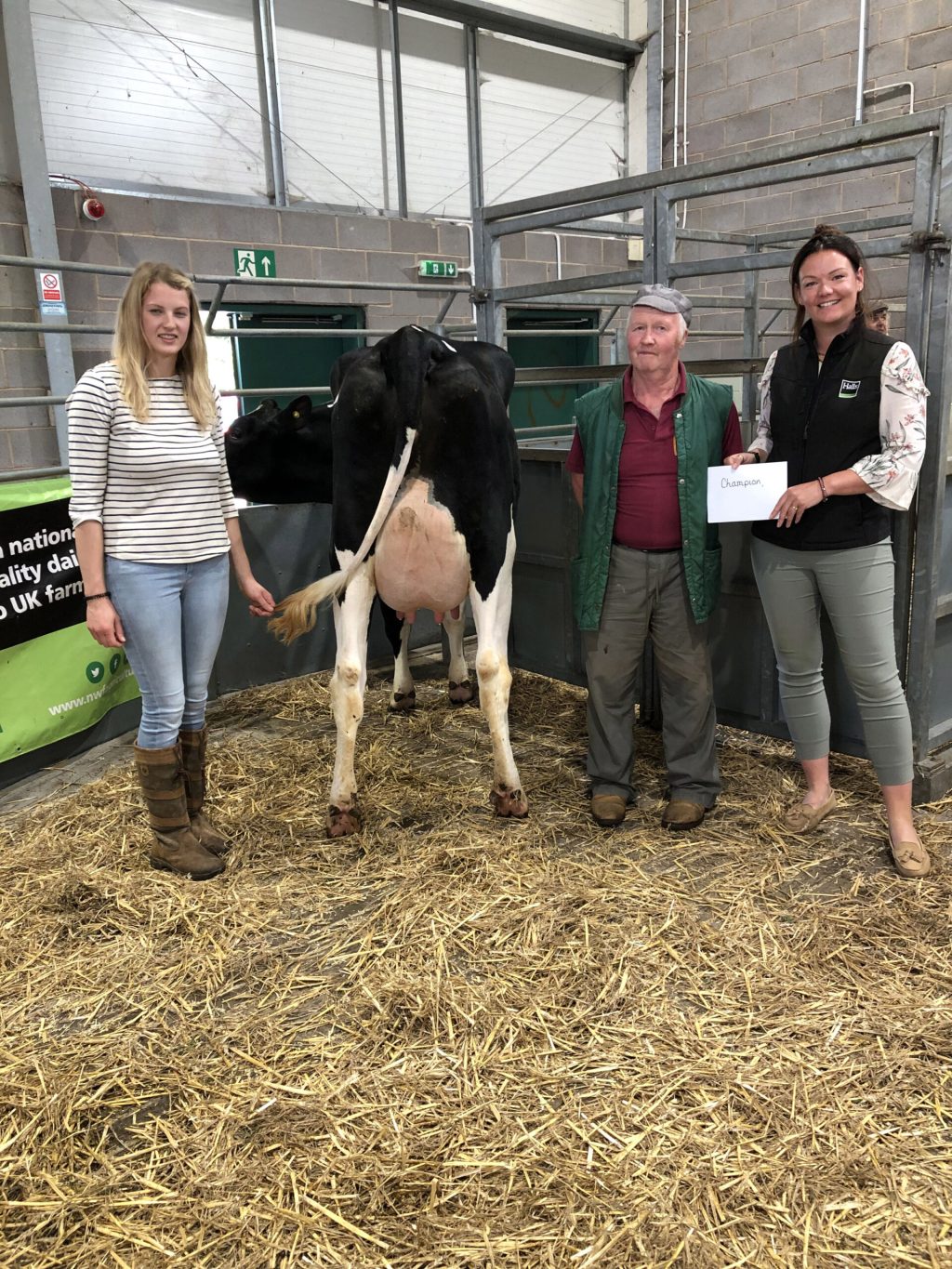 June champion heifer