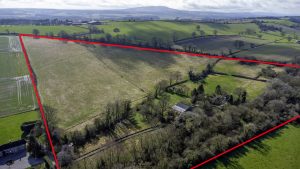Oak Tree Farm -aerial
