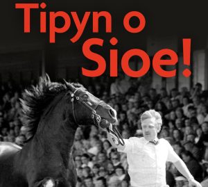 Tipyn o sioe 1920 x 1080px portrait