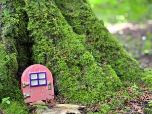 Gregynog fairy trail pic