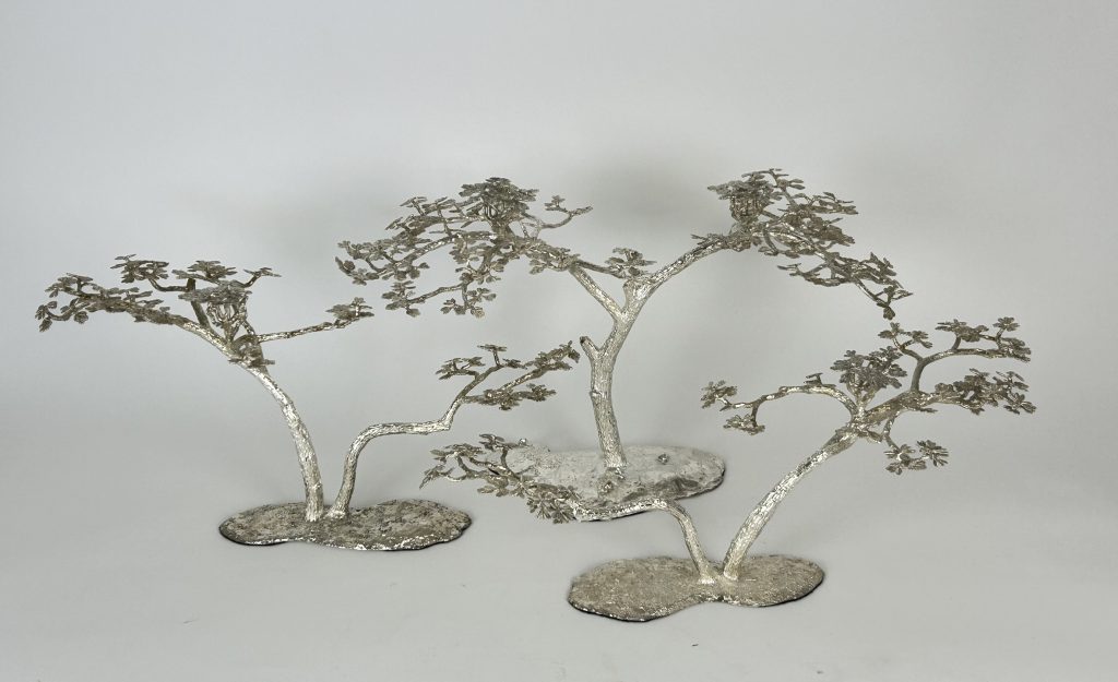 Acacia trees