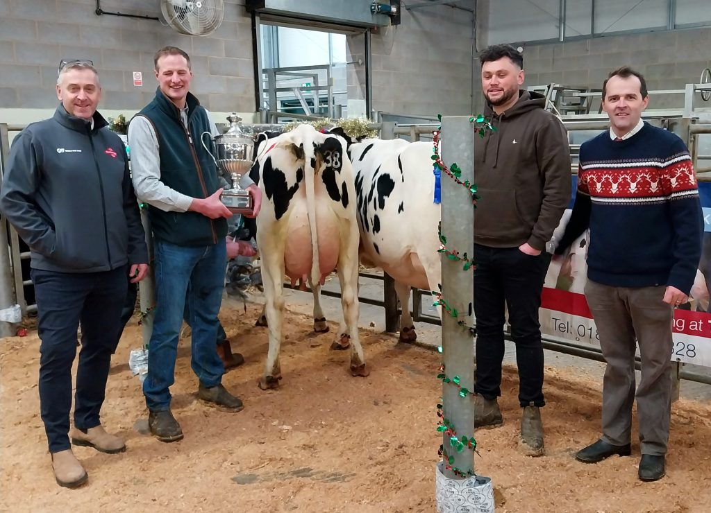 Dairy champion