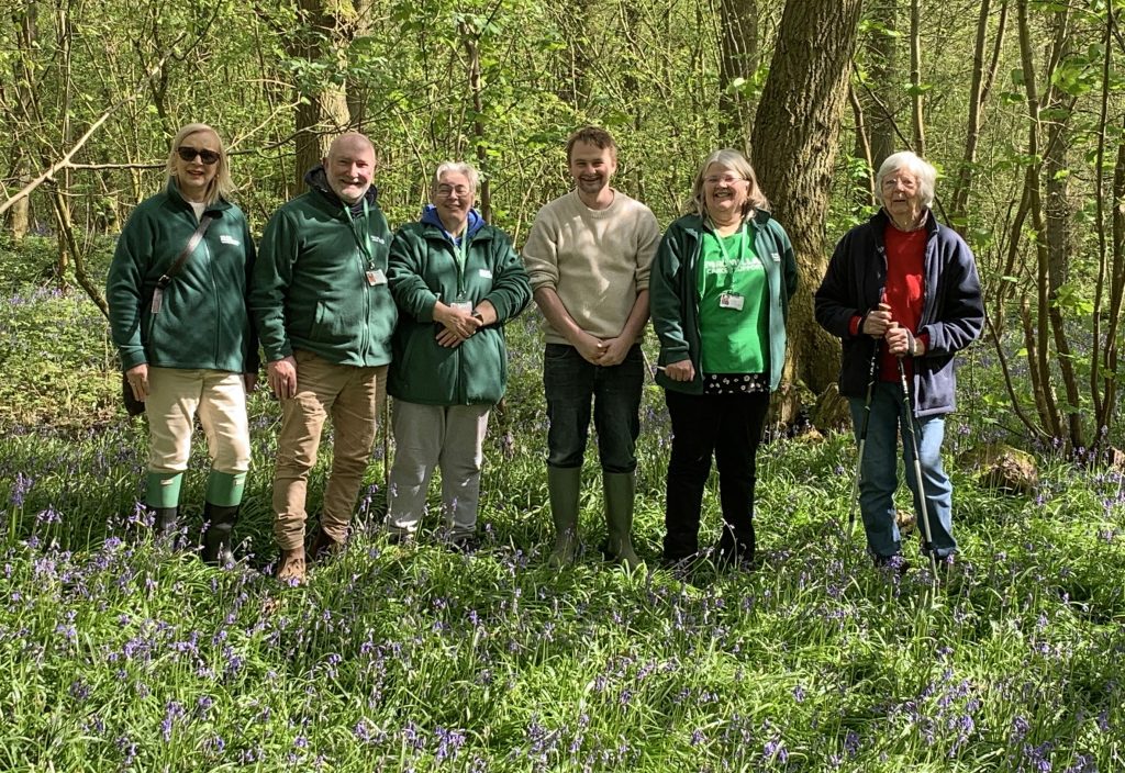 Bluebell Wood at Soullton Hall