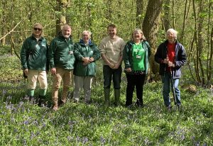Bluebell Wood at Soullton Hall