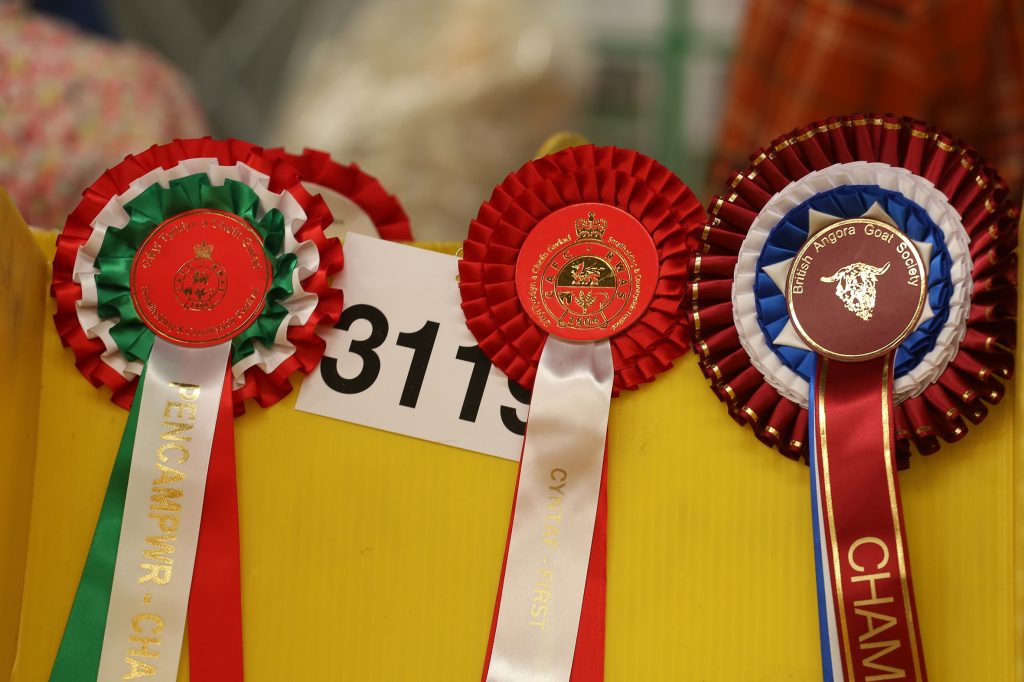 RWAS Spring Festival rosettes