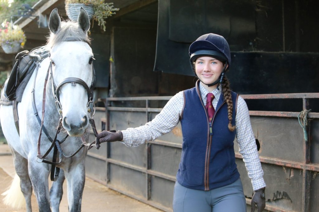 Equine2