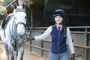 Equine2
