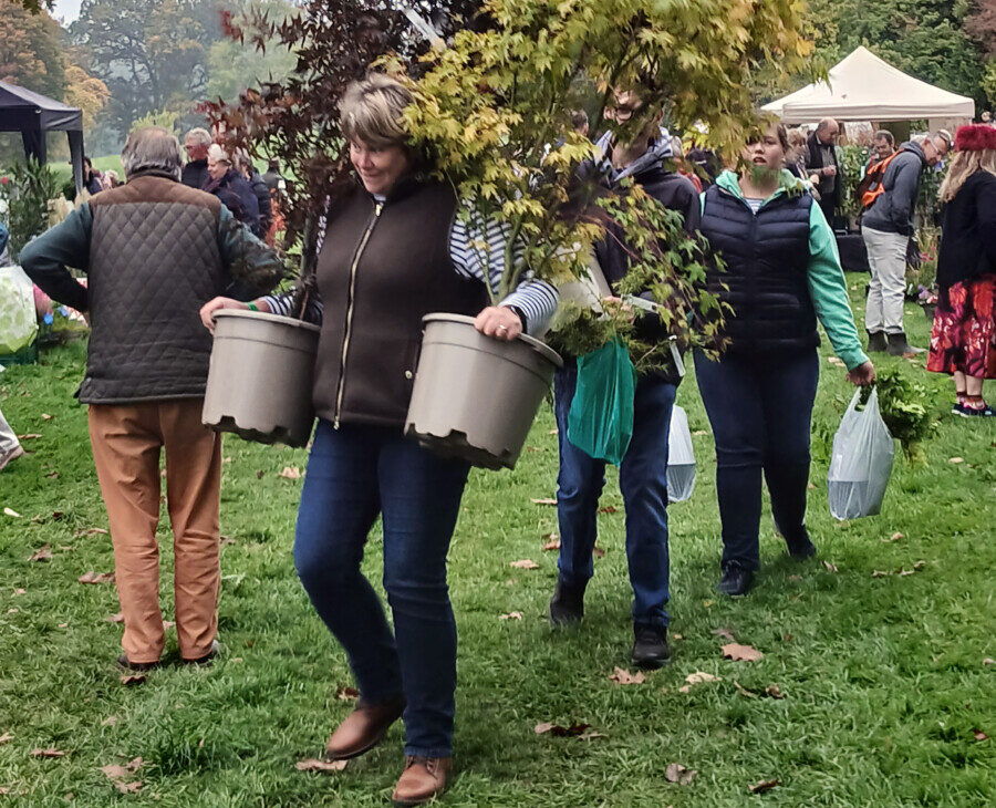 Hergest Croft Gardens plant fair
